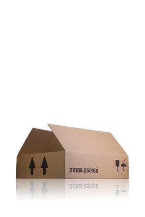 Caja de cartón 12 unidades B 250