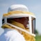 Caretas de apicultura